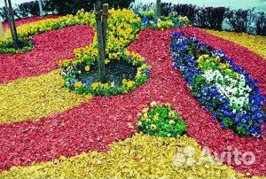 Щепа древесная