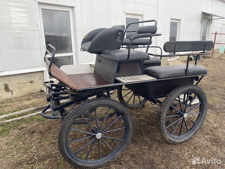 Конный экипаж для драйвинга