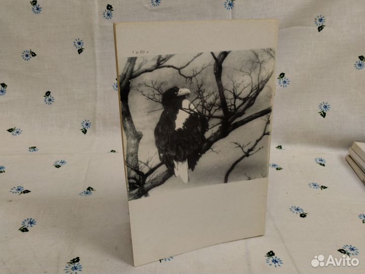 Редкие птицы дальнего востока и их охрана 1988