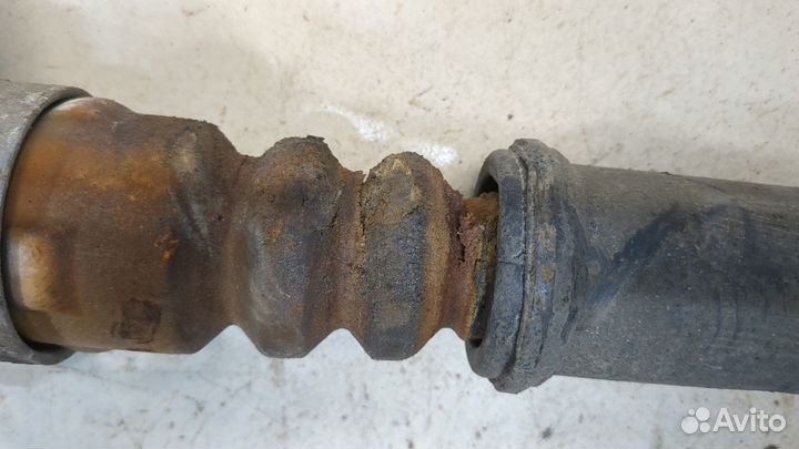 Амортизатор подвески левый задний Volkswagen Polo 2014, 2015