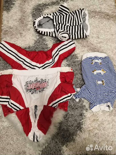 Вещи на собаку