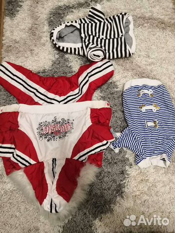 Вещи на собаку