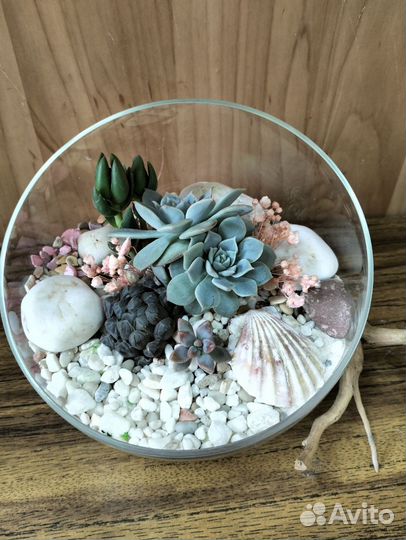 Цветы/ подарок