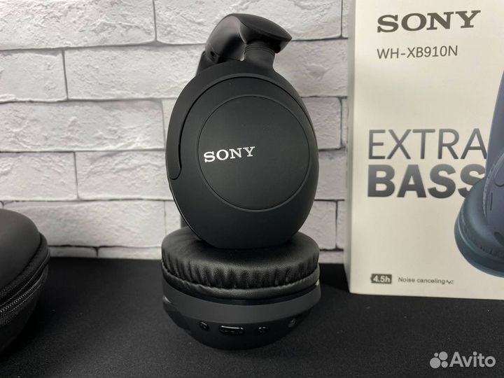 Sony WH-H910N