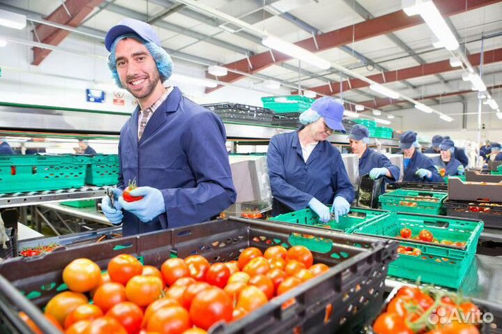 Укладчик вахта Тула