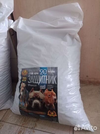 Корм для собак