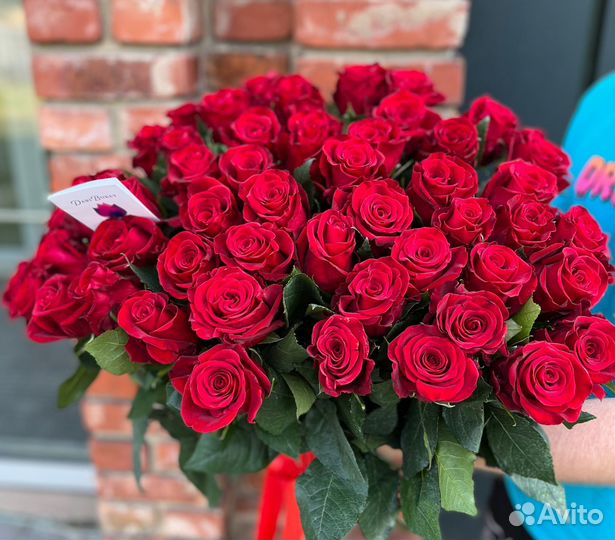 51 эквадорская роза премиум 60см