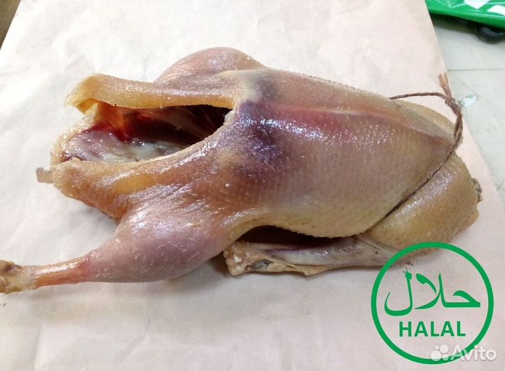 Гуси копченые и вяленные, колбасы казылык, курахан