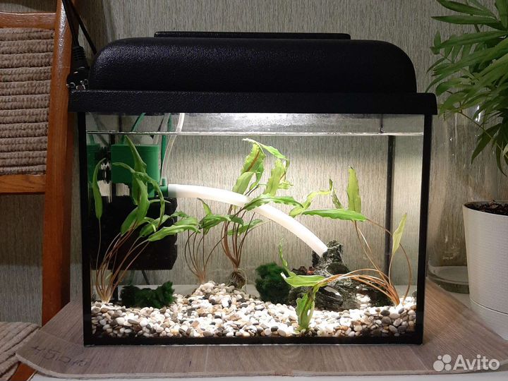 Аквариум 15л