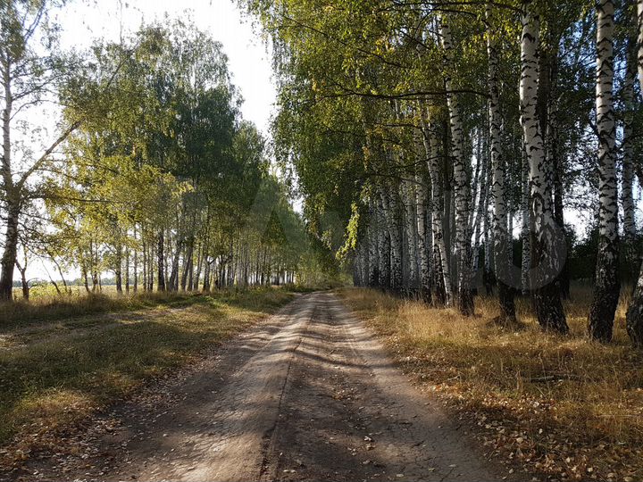 Участок 50 сот. (СНТ, ДНП)