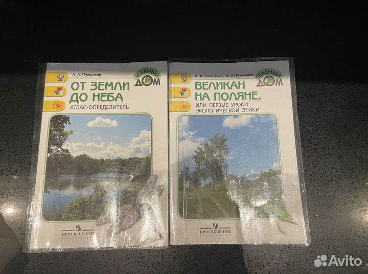 Атлас определитель, великан на поляне Плешаков