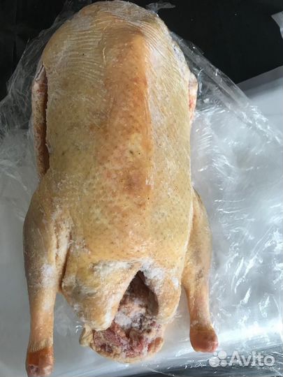 Продукты питания