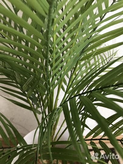 Искусственная пальма с кашпо на ножках икеа