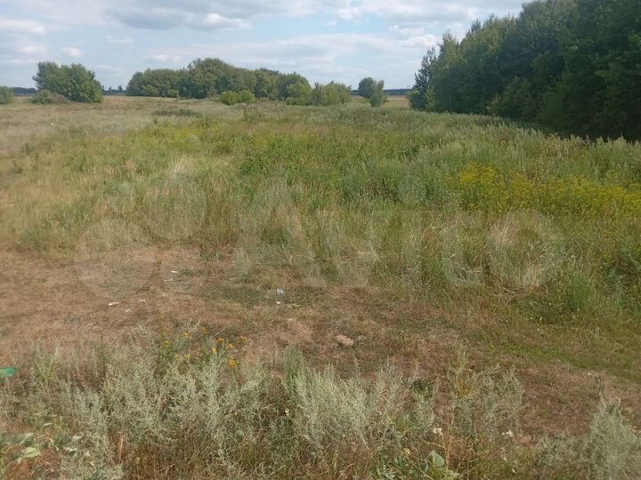 Участок 72 сот. (СНТ, ДНП)