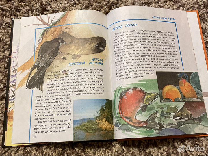 Астрономия книга