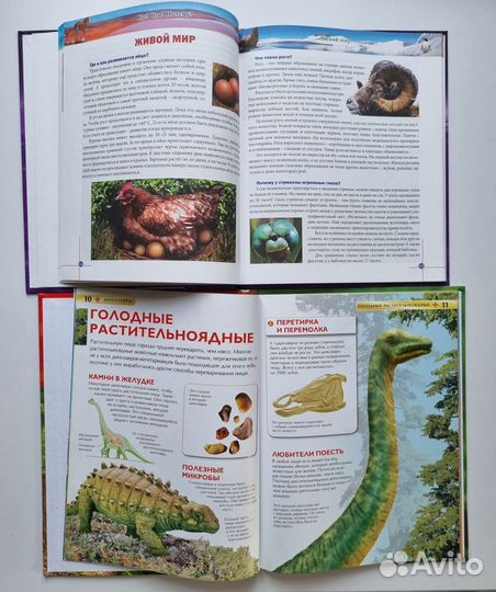 Детские Энциклопедии в картинках, книги с окошками