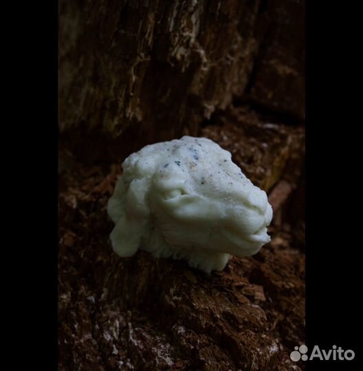 Свеча Баранец