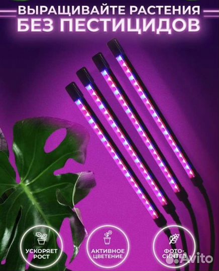 Фитолампа для растений