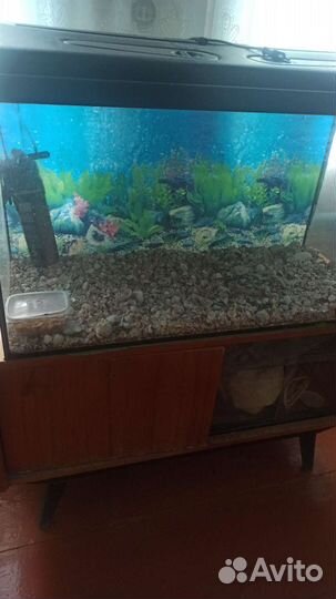 Аквариум