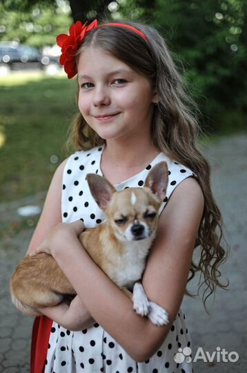 Видео фотосъемка праздников