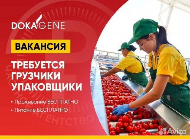 Упаковщики