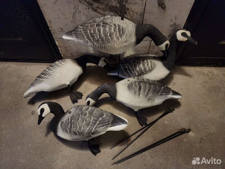 Чучело казарок (охота на гуся)