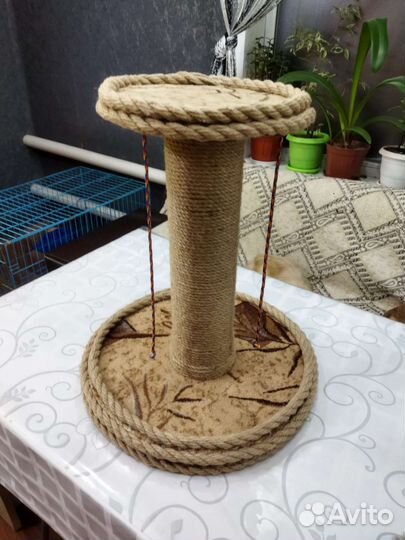 Когтеточка для кошек