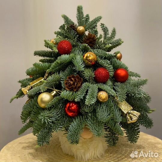 Елочка из нобилиса «Гном»