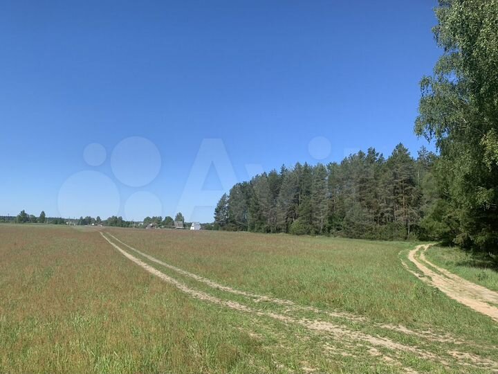 Участок 8 сот. (ИЖС)