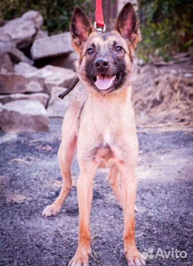 Мальчик из,черного, приюта