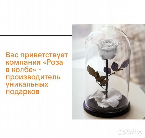 Роза в колбе от производителя