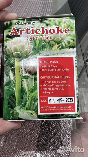 Артишок, экстракт из артишока