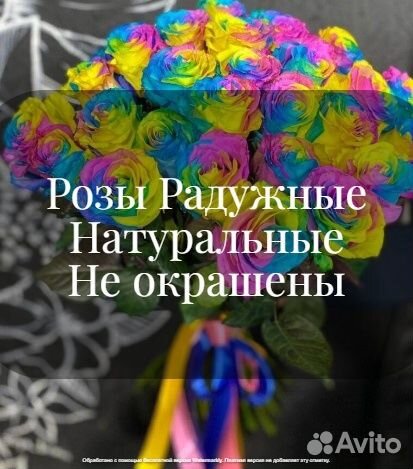 Розы Цветные Радужные Москва