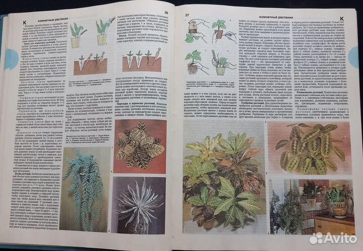 Антикварные книги