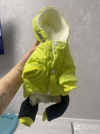 Зимний костюм для собак