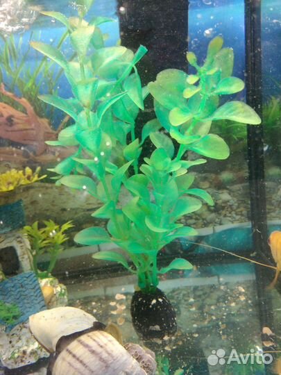 Аквариум с рыбками и всеми принадлежностями