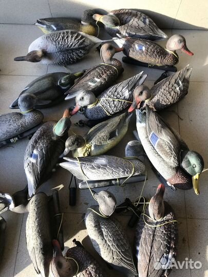 Чучела уток для охоты