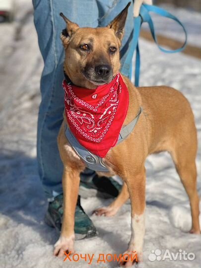 Влт такая девочка ищет дом, маму и папу