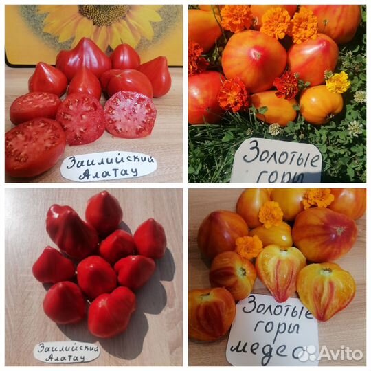 Семена серцевидных сортовых томатов