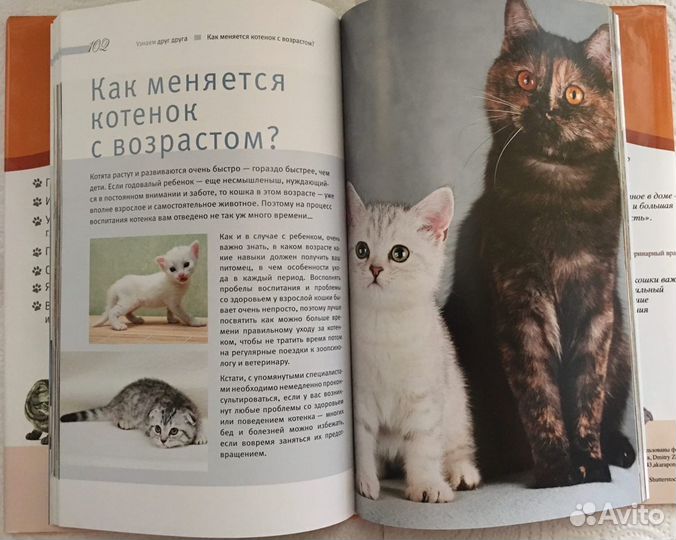 Книга Кошки Иллюстрированная энциклопедия Фомина