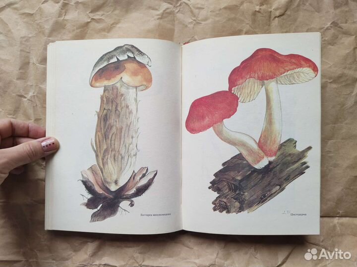 Красная книга растений и животных