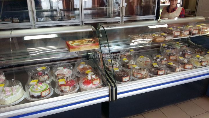 Пищевое производство. Земля и здание