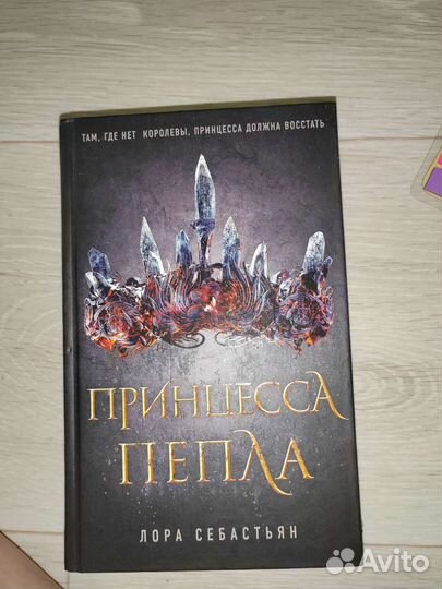 Книга Принцесса пепла