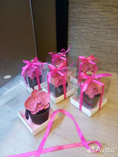 Цветок в горшочке