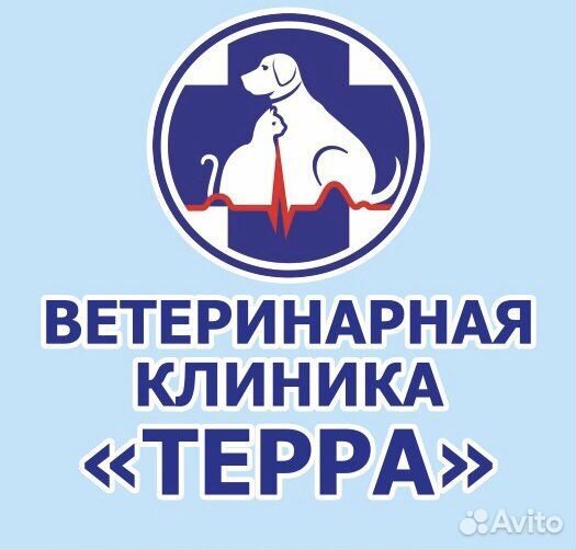 Ветеринарный врач