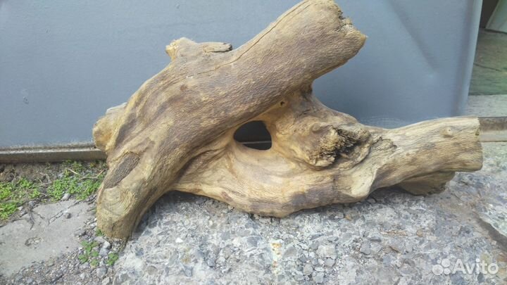 Коряги(корни) в аквариум