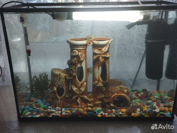 Аквариум