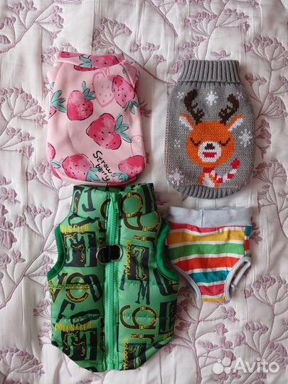 Одежда для мелких пород собак или щенков