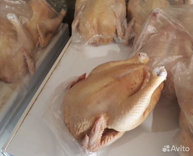 Курочки деревенские