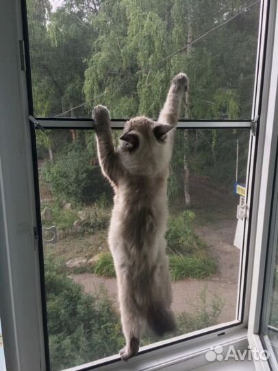 Москитная сетка